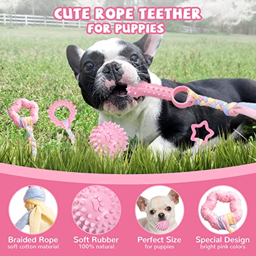 ABRRLO Puppy Toys 6 Pack Puppy Chew Toys for Teething Small Breed Dog Toys for Small Puppies Cute Pink Small Dog Chew Toys Soft Rubber Durable Puppy Teething Toys Interactive Pet Dog Toys Set