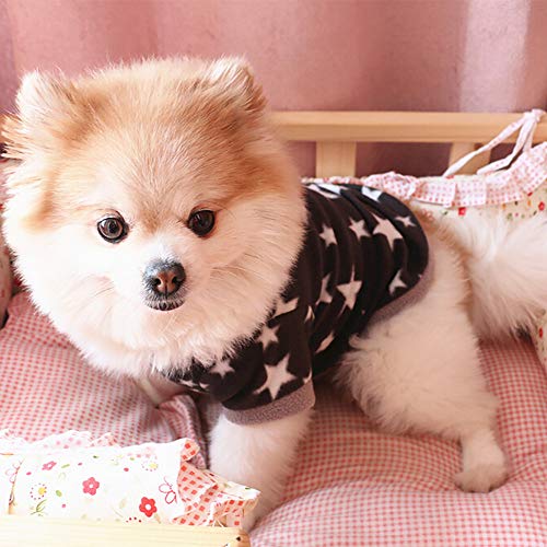 HonpraD Teacup Chihuahua Clothes Girl Apparel Villus Dog Clothes Fashion Warm Cat Puppy Doggy Clothing Pet Pet Clothes (Black, S)