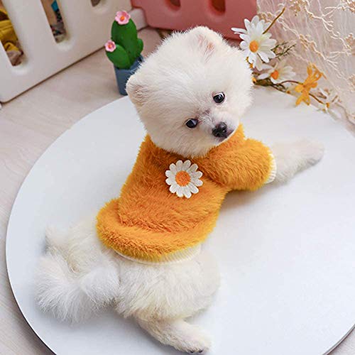 Large Dog Sweater Female for Daisy Sweater Neck Girl Plush Round Small Dogs Style Dog Sweaters Flowers Pet Clothes