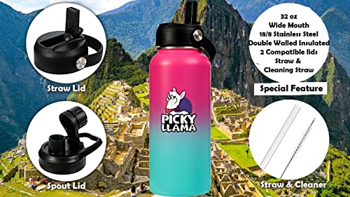 Picky Llama Stainless Steel Vacuum Insulated Water Bottle (Pink Turquoise Llama, 32 oz)