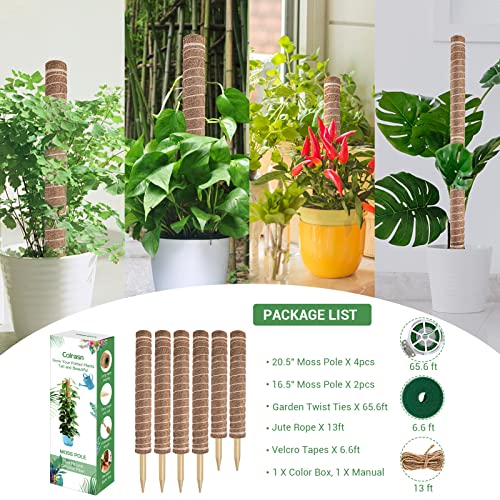Moss Pole for Plants Monstera, Extra-Long 115 inch Moss Stick for Climbing Plants, 4 Pcs 20.5" and 2 Pcs 16.5" Coco Coir Pole for Indoor Potted Plants Grow Upwards, Totem Pole Plant Support