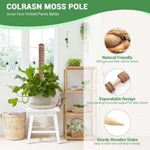 Moss Pole for Plants Monstera, Extra-Long 115 inch Moss Stick for Climbing Plants, 4 Pcs 20.5" and 2 Pcs 16.5" Coco Coir Pole for Indoor Potted Plants Grow Upwards, Totem Pole Plant Support