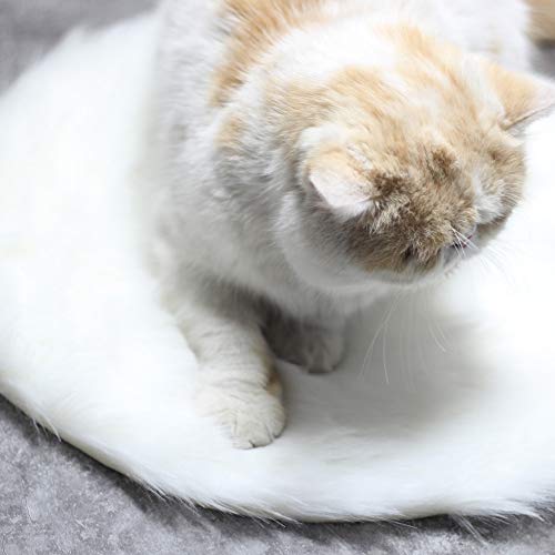 Electric Heated Blanket,Electric Blanket, Hand Warmer, Small Pet Cats Plush Heating Mat Heated Blanket Constant Temperature Waterproof Anti-Creep USB Interface(Wei?)