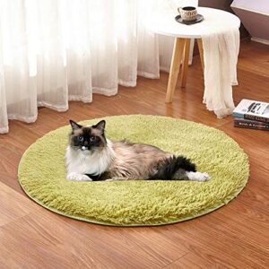 plplaaoo Electric Blanket, Electric Blanket, Hand Warmer, Plush Four Seasons USB Charging Interface Pet Heated Blanket Heating Mat Mat for Small Dogs Cats(gr¨¹n)