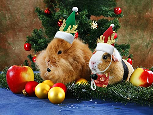 CooShou Christmas Guinea Pigs Bandanas Hat Rabbit Triangular Scarf Small Animals Christmas Costume Christmas Red Green Gift Pattern for Bunny Sugar Glider Guinea Pigs (L)