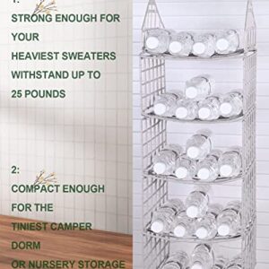 GOYOR 4-Shelf Plastic Hanging Closet Organizer, Collapsible Hanging Closet Shelves, Hanging Organizer for Closet & RV, White, 31" H X 11" W X 11" D, 1-Pack.