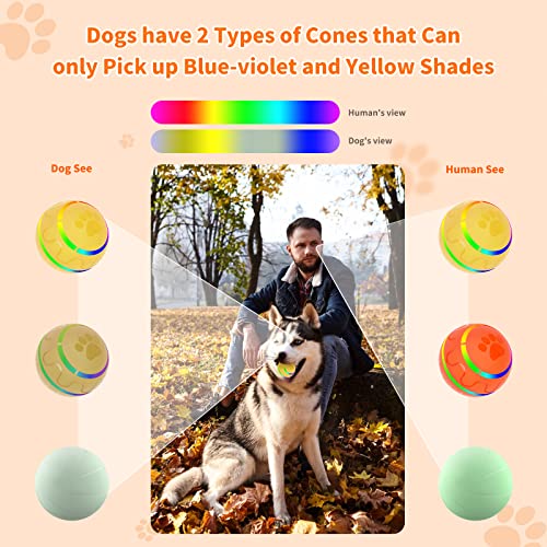 CUXMUX Smart Interactive Dog Balls, Remote Control Dog Toy Ball for Medium Dogs, 4 Hours Running Time Rolling Balls for Dog Gifts