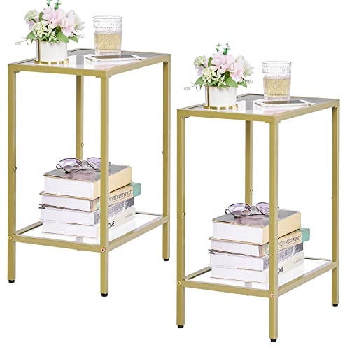 HOMSHO Side Tables Set of 2, End Tables with Tempered Glass, 2-Tier Nightstands with Storage Shelves, Slim Sofa Table for Living Room, Bedroom (2, Golden)