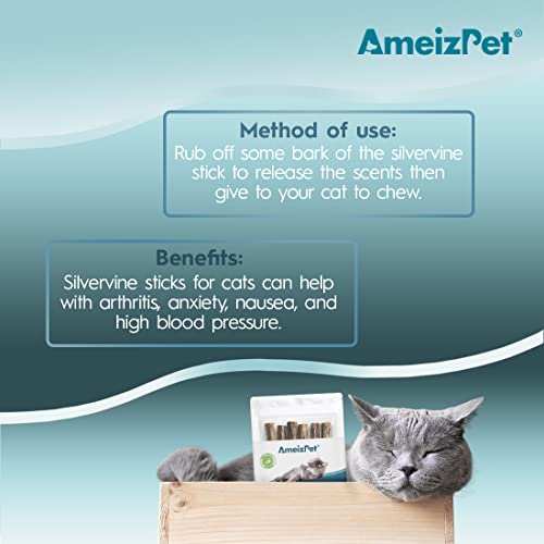 AmeizPet Silvervine Cat Teeth Cleaning Dental Sticks, Matatabi Dental Care, Cat Chew Toy 6 Pcs