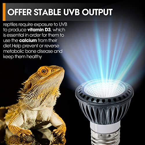 GeeKoit Premium High-Intensity UVB Reptile Light for Optimal Calcium Metabolism,5-Watt 10.0 Desert UVB Light Ideal for Desert-Dwelling Reptiles Bearded Dragons Tortoises (Desert 10.0 UVB)