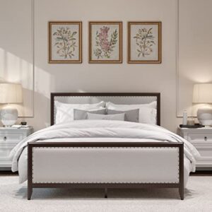 dg casa salerno solid wood platform bed frame with nailhead trim - queen bed frame with adjustable headboard, full wooden slats, no box spring needed - queen upholstered bed frame in natural fabric