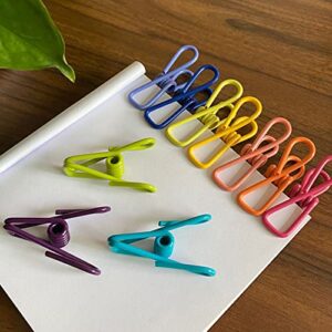 JIANYI Chip Clips, Multi-Color Utility PVC-Coated Clips, Bag Clips for Food Package, Chip Bag, Kitchen, Clothes, Clothespins, Mini Metal Clips for Photos, Pictures, Papers - 16 Pack, 2 Inches