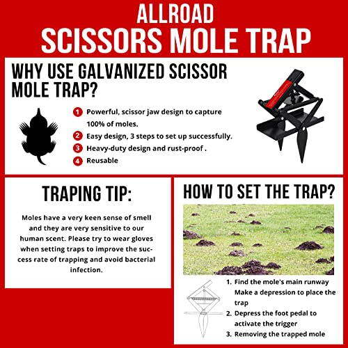 Mole Trap for Lawns, ALLRoad Mole Scissor Trap Easy Setup with Quick Kill Reusable Heavy-Duty Black Vole Traps Non-Toxic and Protect The Lawn 1 Pack