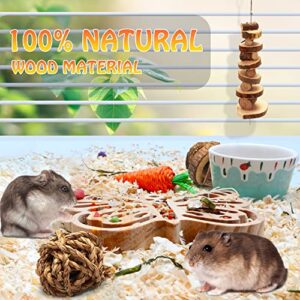 KAKUNM Hamster Toys 6Pcs | Guinea Pig Foraging Toys | Wooden Bridge | Grass Carrot Toy | Molar String | Grass Balls | Watermelon Ball for Hamster, Guinea Pigs, Chinchillas, Rabbit