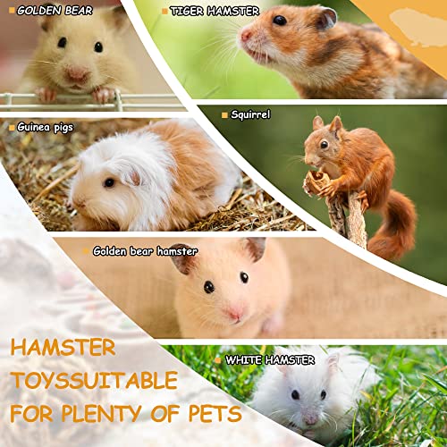 KAKUNM Hamster Toys 6Pcs | Guinea Pig Foraging Toys | Wooden Bridge | Grass Carrot Toy | Molar String | Grass Balls | Watermelon Ball for Hamster, Guinea Pigs, Chinchillas, Rabbit