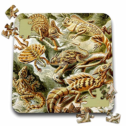 3dRose Lizards and Reptiles Art Print - Reptile Breeds and Species -... - Puzzles (pzl-365423-2)