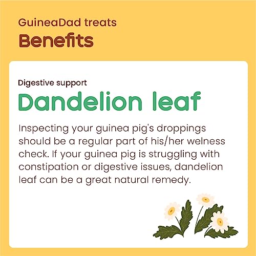 GuineaDad Organic Guinea Pig Herbal Treats Guinea Pig Food with Convenient Packaging - Dandelion Leaf Flavor - 2.5-oz Guinea Pig Treats Help with Bonding High in Nutrition, Good for Digestion - Large