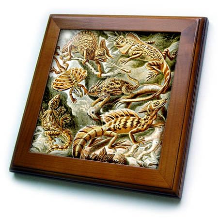 3dRose Lizards and Reptiles Art Print - Reptile Breeds and Species -... - Framed Tiles (ft-365423-1)