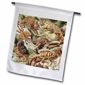 3drose lizards and reptiles art print - reptile breeds and species - animals - flags (fl-365423-1)