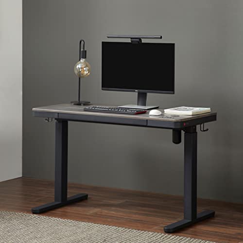 kowo Electric Standing Desk with Drawers Integrated Wireless Charger, 48" Adjustable Height Whole Piece Desktop Home Office Computer Desk, Grey Oak/Black