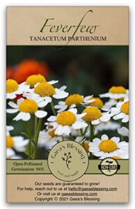 gaea's blessing seeds - feverfew seeds - non-gmo seeds with easy to follow planting instructions - open-pollinated high yield heirloom 91% germination rate