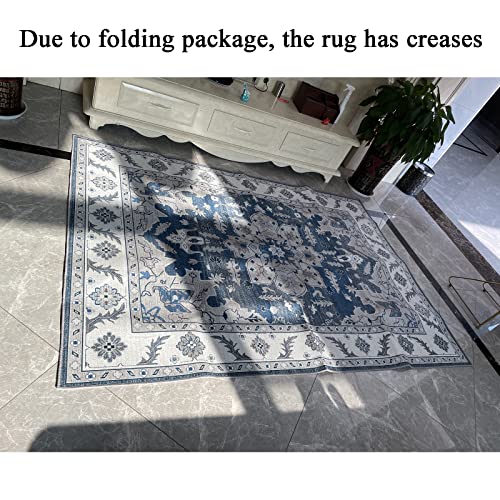 5X7 Persian Distressed Small Entryway Rug Doormat Bohemian Non-Slip Washable Low-Pile Floor Carpet for Indoor Front Entrance Kitchen Bathroom