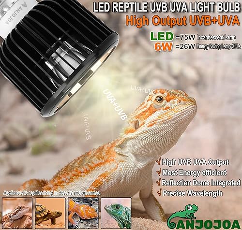 ANJOJOA UVB Reptile Light Bulb LED 6-Watt High UVB UVA Output 10.0 Bulb Reflection Dome Structure PSE Certification for Bearded Dragons Lizards Leopard Geckos Tortoises