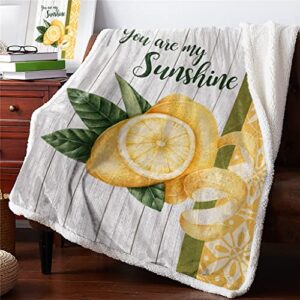 LXXSH Summer Lemon Retro Sherpa Blanket Double Thick Velvet Flannel Bedspreads Office Nap Throw Blanket Sofa Cover Bedding (Color : A, Size : 100X125CM)