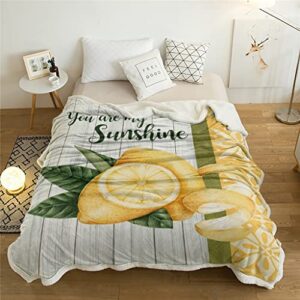 LXXSH Summer Lemon Retro Sherpa Blanket Double Thick Velvet Flannel Bedspreads Office Nap Throw Blanket Sofa Cover Bedding (Color : A, Size : 100X125CM)