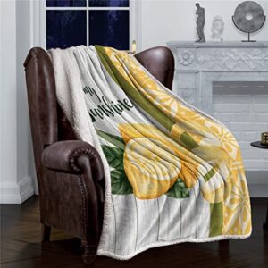 LXXSH Summer Lemon Retro Sherpa Blanket Double Thick Velvet Flannel Bedspreads Office Nap Throw Blanket Sofa Cover Bedding (Color : A, Size : 100X125CM)