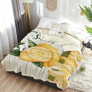 LXXSH Summer Lemon Retro Sherpa Blanket Double Thick Velvet Flannel Bedspreads Office Nap Throw Blanket Sofa Cover Bedding (Color : A, Size : 100X125CM)