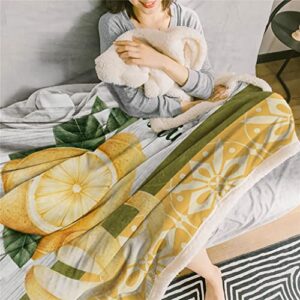 LXXSH Summer Lemon Retro Sherpa Blanket Double Thick Velvet Flannel Bedspreads Office Nap Throw Blanket Sofa Cover Bedding (Color : A, Size : 100X125CM)