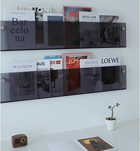 2-Pack Acrylic Magazine Holder Brochure Holder, 17" Record Holder Magazine Rack, Fashion Hanging Bookshelf Literature Storage Rack for Waiting Room, Living Room, Office,Translucent Gray 17 Inch