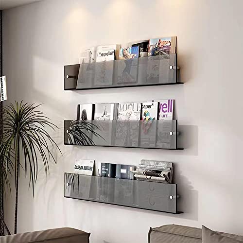 2-Pack Acrylic Magazine Holder Brochure Holder, 17" Record Holder Magazine Rack, Fashion Hanging Bookshelf Literature Storage Rack for Waiting Room, Living Room, Office,Translucent Gray 17 Inch