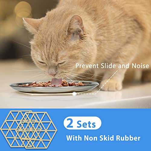 Stainless Steel Cat Dishes for Food and Water Bowls for Small Pets Relief of Whisker Fatigue -2 Sets Shallow Style