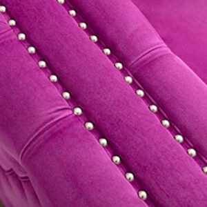 Legend Vansen Modern couches for Living Room Velvet Upholstery Nailhead Trim Sofas, 104'', Violet