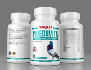 pigeonvita para palomas 100tabs vitamins minerals aminoacids for racing pigeons show pigeons rollers hens doves vitaminas minerales aminoacidos