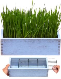 benpin wooden cat grass planter (no seeds included) with potting soil disks, anti digging grid and removable plastic liner, wheat grass growing pot, cat grass kit for indoor cats pets (amber blue)