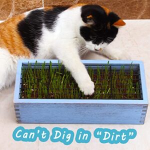 BENPIN Wooden Cat Grass Planter (no Seeds Included) with Potting Soil Disks, Anti Digging Grid and Removable Plastic Liner, Wheat Grass Growing Pot, Cat Grass Kit for Indoor Cats Pets (Amber Blue)