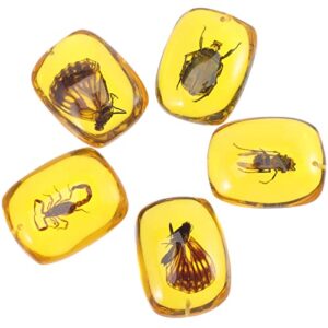 dechous charm bracelet amber specimen 5pcs baltic amber pendant amber specimen resin crafts collection for jewelry making necklace bracelets home decorations charm bracelet