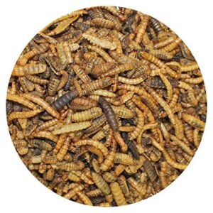 EZ-Worms (1.41 oz.) - Blend of Dried Mealworms & Black Soldier Fly Larvae (BSFL) - Healthy Insect Treat - Chickens, Bluebirds, Sugar Gliders, Hedgehogs, Squirrels, Skunks, Reptiles, Turtles, Fish