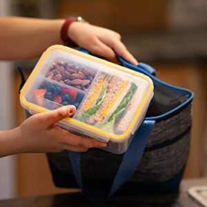 Kitchen & Cabana Set of 3 - Bento Lunch Boxes (3 Removable Compartments) - Snap Shut & Lock Closed, Leak Proof Food Containers, Multi-Colored. Perfect for Work, Travel and Anytime You're on the Go.