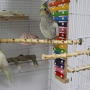 3 Pack Bird Perch Stand, Natural Bamboo Parrot Paw Grinding Toys, Bird Cage Accessories, Bird Paw Grinding for Small Birds Parrots Parakeets Cockatiels Conures Finches Love Birds