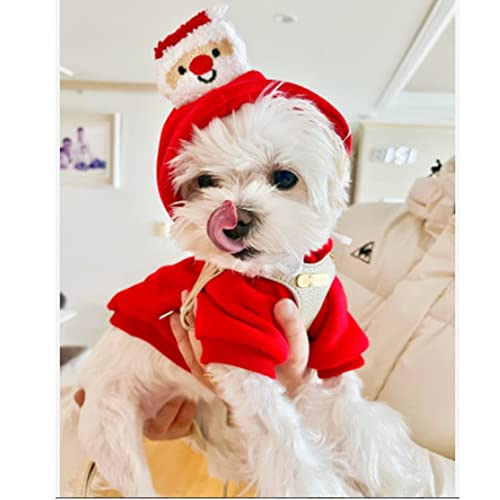 ANIAC Christmas Small Dog Hoodies Warm Puppy Hooded Sweatshirt with Cartoon Santa Claus Pet Winter Clothes Xmas Cat Apparel (X-Small, Red)