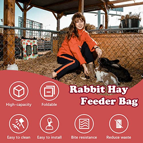 Rabbit Hay Feeder Bag, 2 Holes Hay Hanging Feeder Storage for Rabbit Guinea Pig Chinchilla, 600D Oxford Cloth Fabric with 1 Molar Stone (Black&Blue&Strawberry)