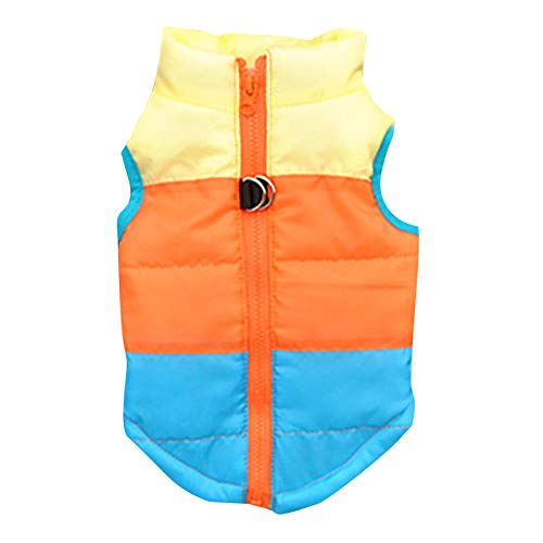 HonpraD Small Medium Dog Towing Jacket Dog Clothes Vest Padded Buckle Padded Out Clothing Pet Clothes Pet Clothes (Sky Blue, M)