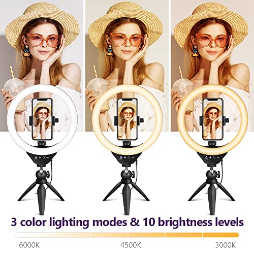 Eicaus Desktop 10'' Selfie Ring Light with Tripod Stand and Cell Phone Holder, Dimmable LED Circle for Computer/Zoom Call/Live Streaming/Makeup/YouTube/TIK Tok, Compatible Most Phones