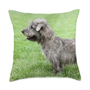 cj merch irish glen of imaal terrier dog lover throw pillow, 18x18, multicolor
