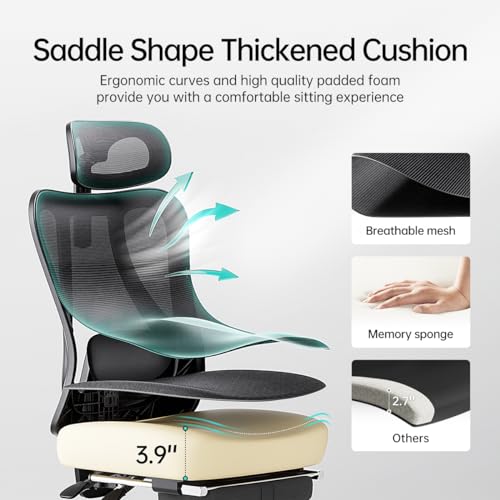 Hbada Ergonomic Office Chair with 2D Adjustable Armrest, Office Chair with 2D Adjustable Lumbar Support, Computer Chair with Tilt Function, Desk Chair with Footrest Black