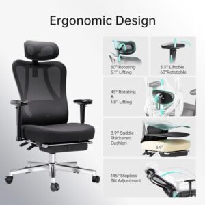 Hbada Ergonomic Office Chair with 2D Adjustable Armrest, Office Chair with 2D Adjustable Lumbar Support, Computer Chair with Tilt Function, Desk Chair with Footrest Black